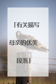 有关描写母亲的优美段落