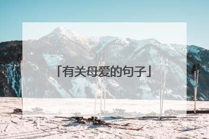 有关母爱的句子