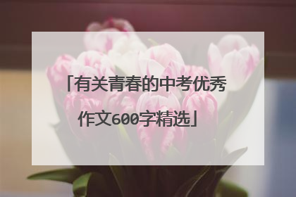 有关青春的中考优秀作文600字精选