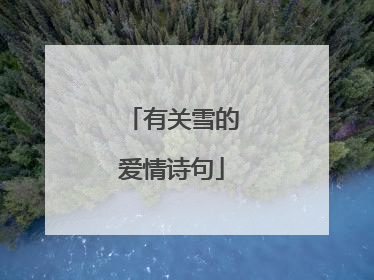 有关雪的爱情诗句