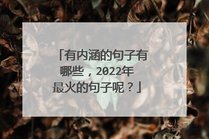 有内涵的句子有哪些，2022年最火的句子呢？