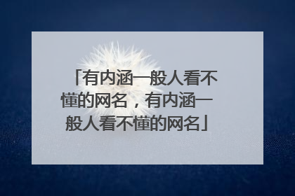 有内涵一般人看不懂的网名,有内涵一般人看不懂的网名