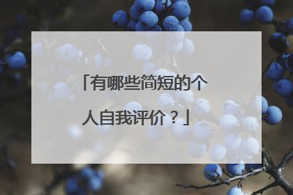 有哪些简短的个人自我评价？