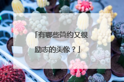 有哪些简约又很励志的头像？