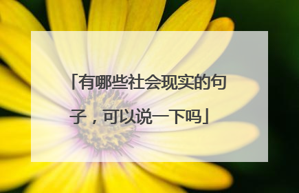 有哪些社会现实的句子，可以说一下吗