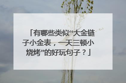 有哪些类似“大金链子小金表，一天三顿小烧烤”的好玩句子？