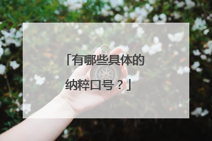 有哪些具体的纳粹口号?