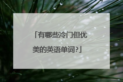有哪些冷门但优美的英语单词?