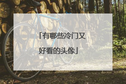 有哪些冷门又好看的头像