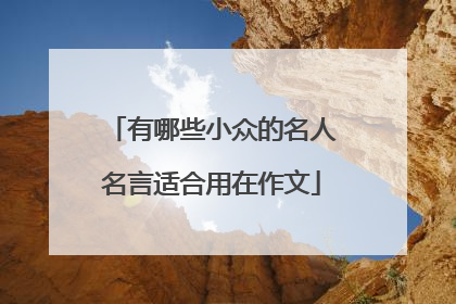 有哪些小众的名人名言适合用在作文