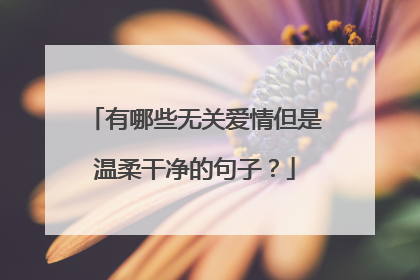 有哪些无关爱情但是温柔干净的句子？