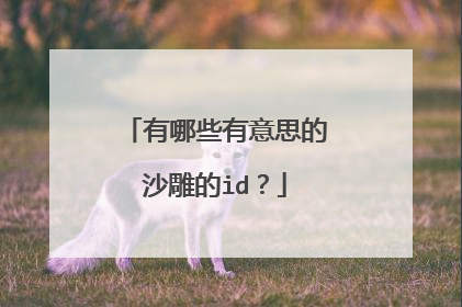 有哪些有意思的沙雕的id？