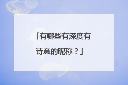 有哪些有深度有诗意的昵称？