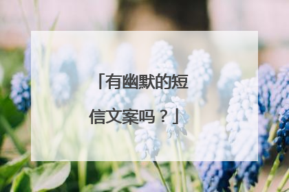 有幽默的短信文案吗？