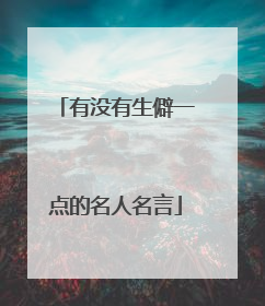 有没有生僻一点的名人名言