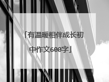 有温暖相伴成长初中作文600字