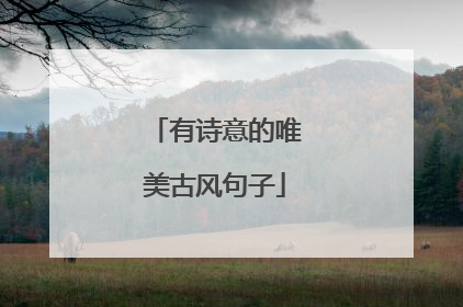 有诗意的唯美古风句子