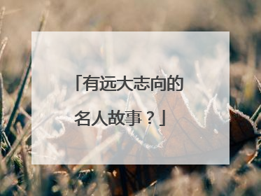 有远大志向的名人故事？