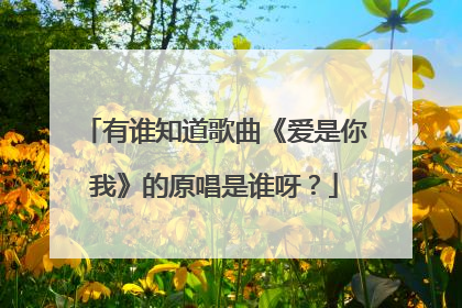 有谁知道歌曲《爱是你我》的原唱是谁呀？