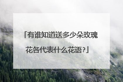 有谁知道送多少朵玫瑰花各代表什么花语?