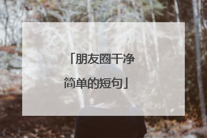 朋友圈干净简单的短句