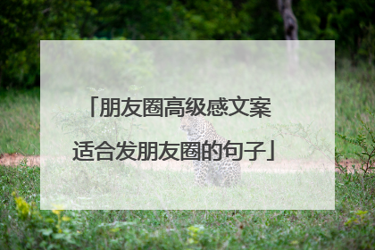 朋友圈高级感文案 适合发朋友圈的句子
