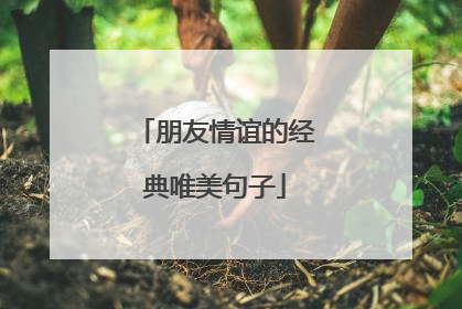 朋友情谊的经典唯美句子