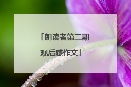 朗读者第三期观后感作文