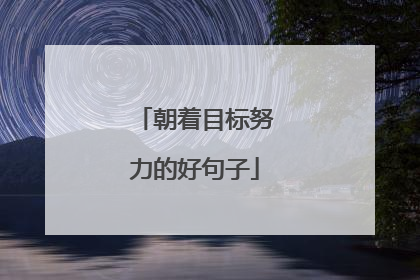 朝着目标努力的好句子