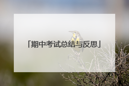 期中考试总结与反思