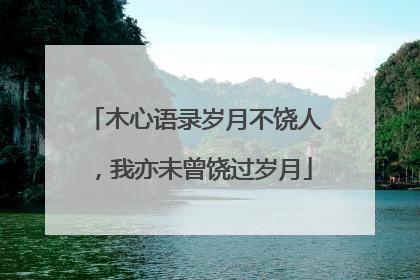 木心语录岁月不饶人，我亦未曾饶过岁月