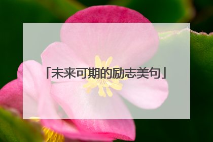 未来可期的励志美句