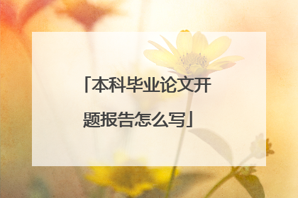 本科毕业论文开题报告怎么写