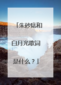 朱砂痣和白月光歌词是什么？