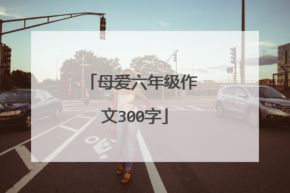 母爱六年级作文300字
