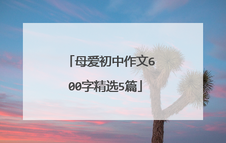 母爱初中作文600字精选5篇