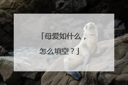 母爱如什么，怎么填空？