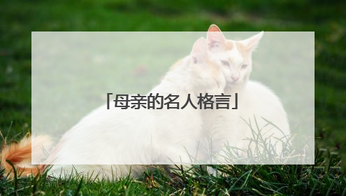 母亲的名人格言