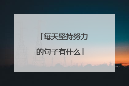 每天坚持努力的句子有什么