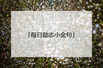 每日励志小金句