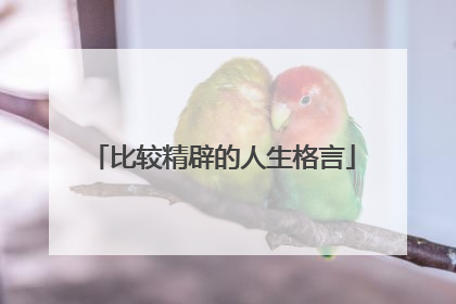 比较精辟的人生格言