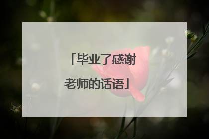 毕业了感谢老师的话语