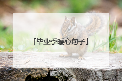 毕业季暖心句子
