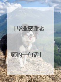 毕业感谢老师的一句话