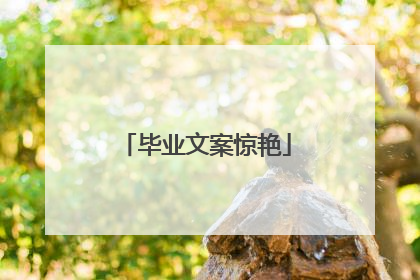毕业文案惊艳