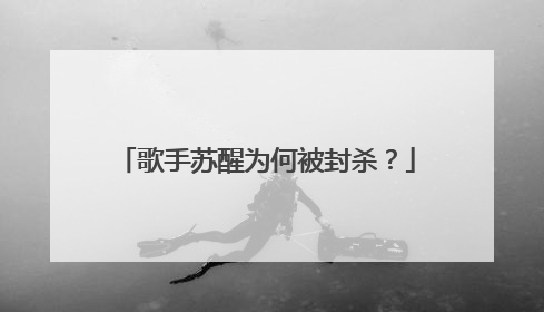 歌手苏醒为何被封杀?