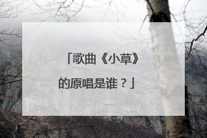 歌曲《小草》的原唱是谁？