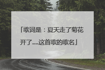 歌词是：夏天走了菊花开了……这首歌的歌名