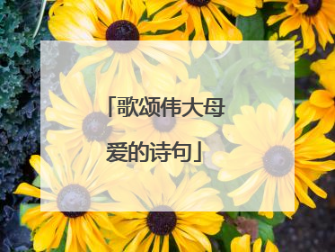 歌颂伟大母爱的诗句