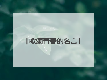 歌颂青春的名言